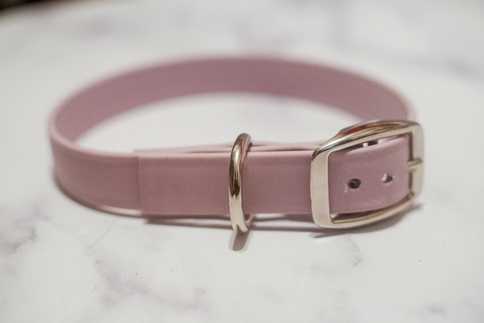 Biothane Buckle Dog Collar - Medium 13-15 inches Pink