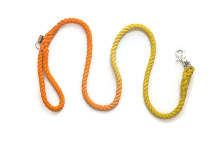 Rope Dog Leash - 6 ft Orange and Yellow