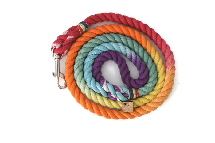 Rope Dog Leash - 5 ft Rainbow