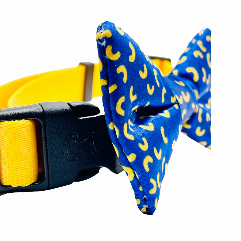 Cutie Ties Dog Bow Tie - One Size Mac and Cheese Blue