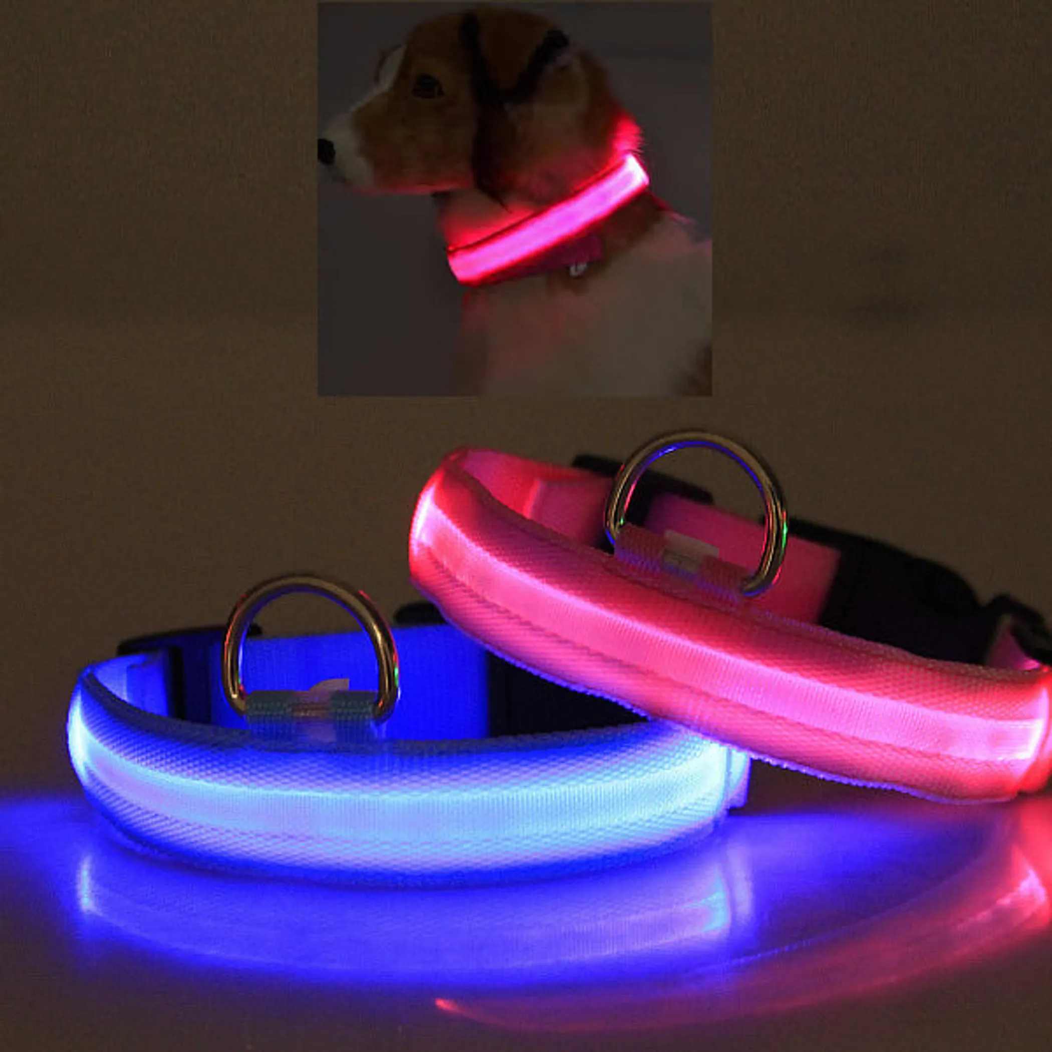 Halo lights 2024 dog collar