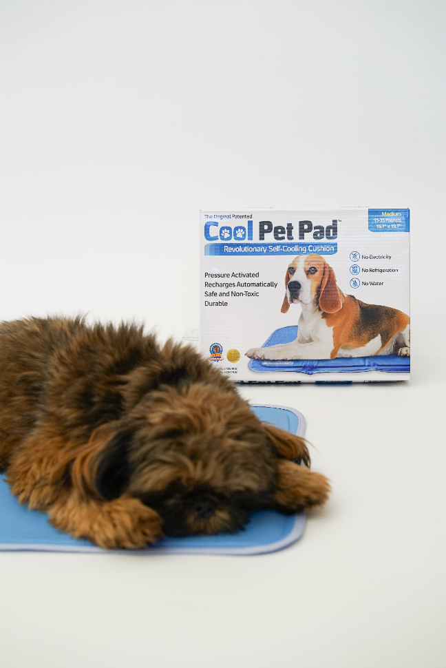 Cool Pet Pad - Large