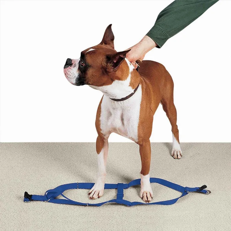 Pawsome Pet Toys Hemp Dog Collar - Hound About Town