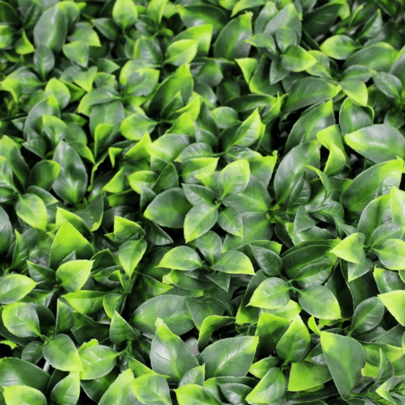 Sample Panel of Artificial Green Wall Vertical Garden (Small Sample) - Jasmine