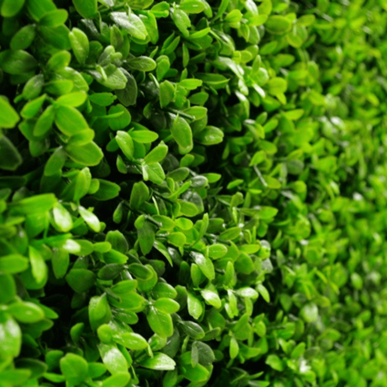 Artificial Boxwood Wall 40" x 40"