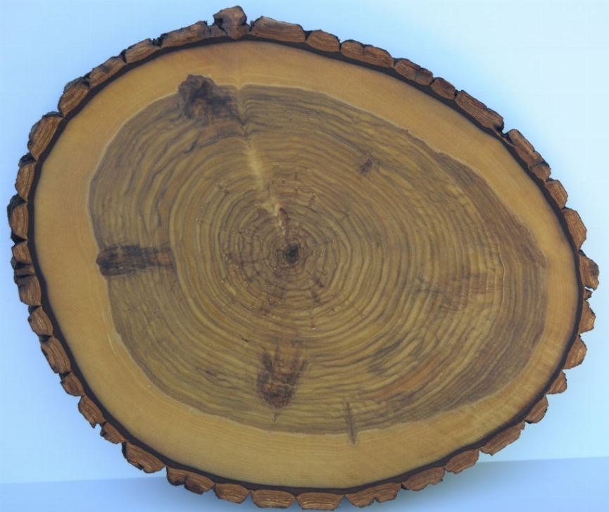 Rustic Slab Charcuterie board, Cake Stand, Cutting Board, Food Serving, or Center Piece, With Legs, With Bark - 14 1/2"-16"