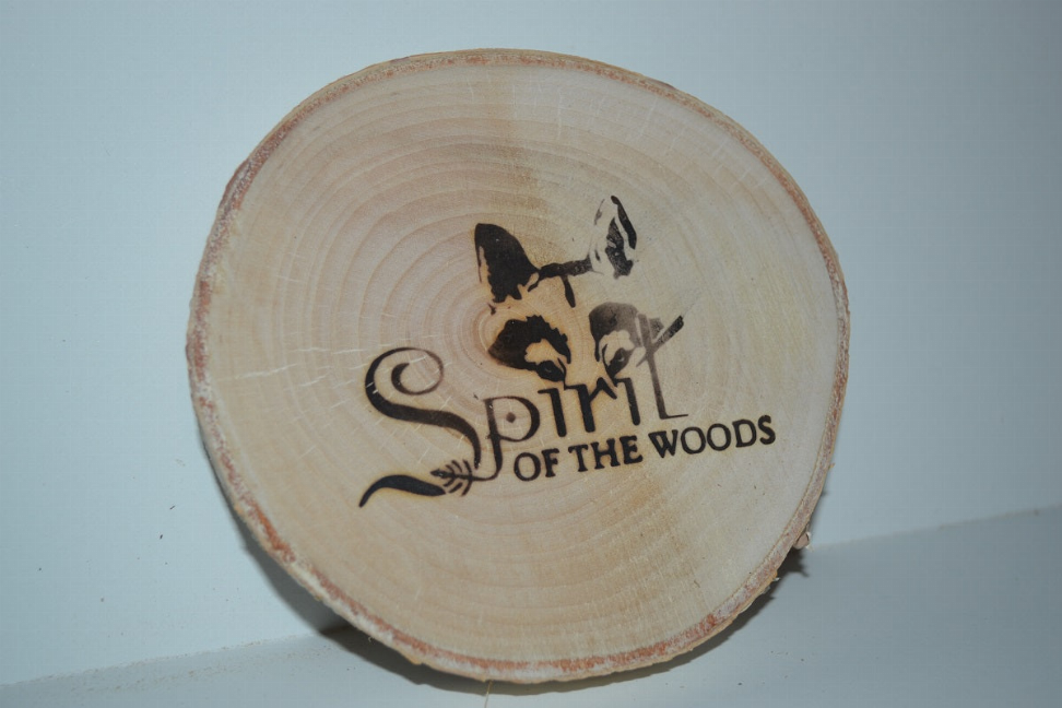 Wood Slice Magnets Set of 4 With Wood Burned Spirit of the Woods Logo - 10 Sets of Four Birch
