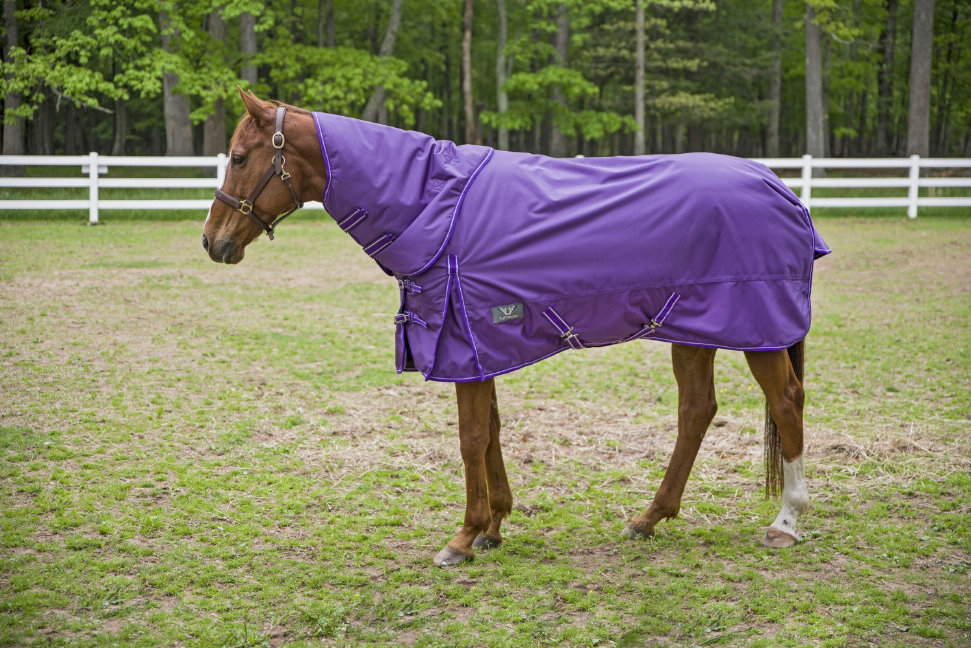TuffRider 1680 D Super Comfy Detachable Neck Blanket 75 Purple