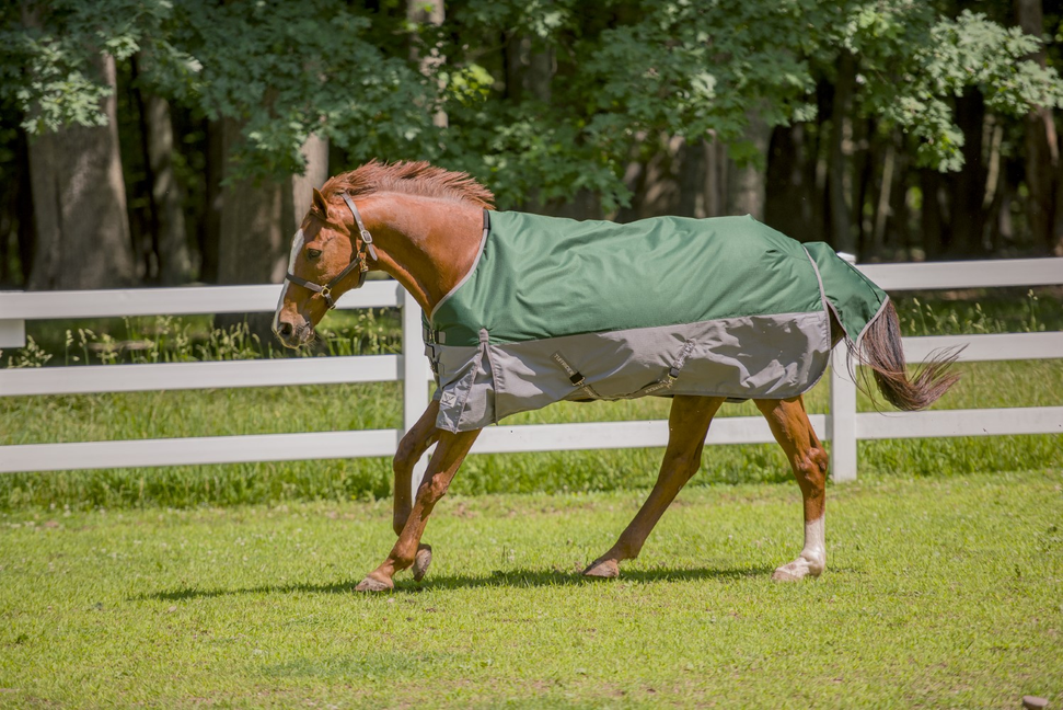 TuffRider Bonum 1200D Medium Weight Standard Neck Two Tone Turnout Blanket With 200gms of fill 78  Hunter Green/Grey 