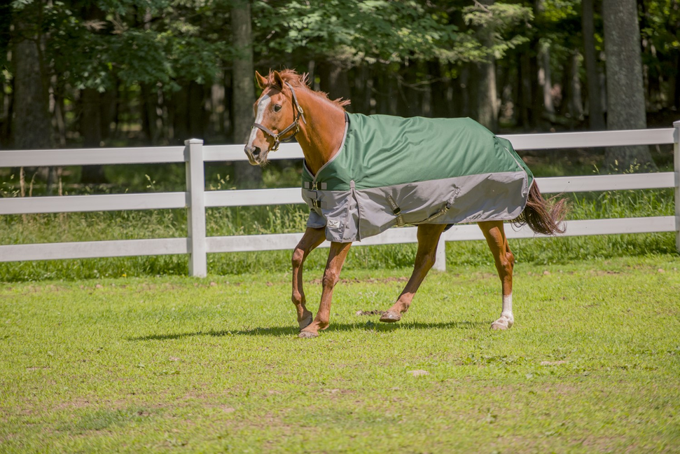 TuffRider Bonum 1200D Medium Weight Standard Neck Two Tone Turnout Blanket With 200gms of fill 78  Hunter Green/Grey 