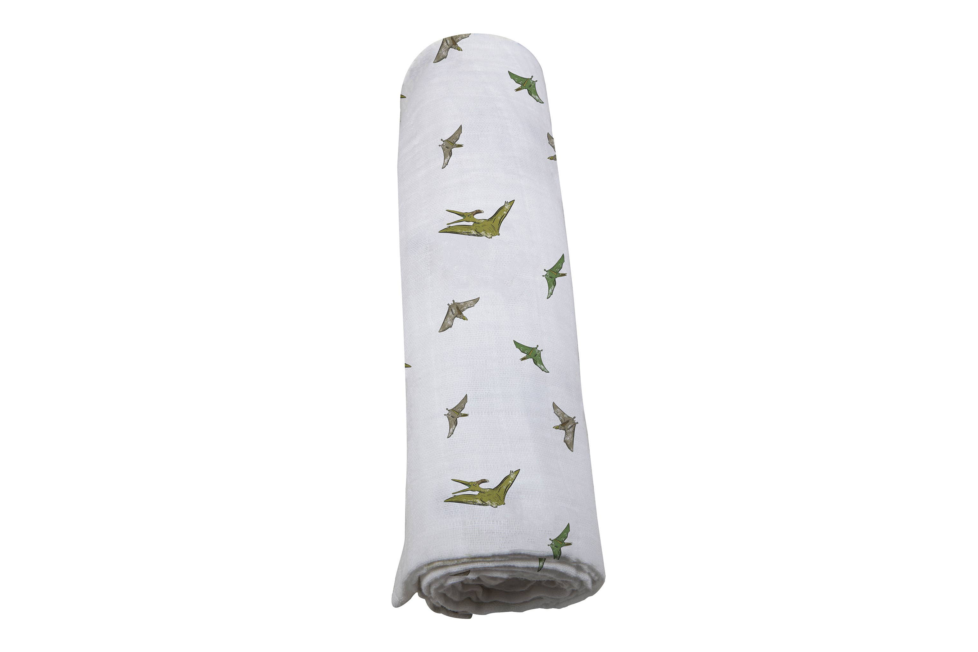 Pteranodon Swaddle