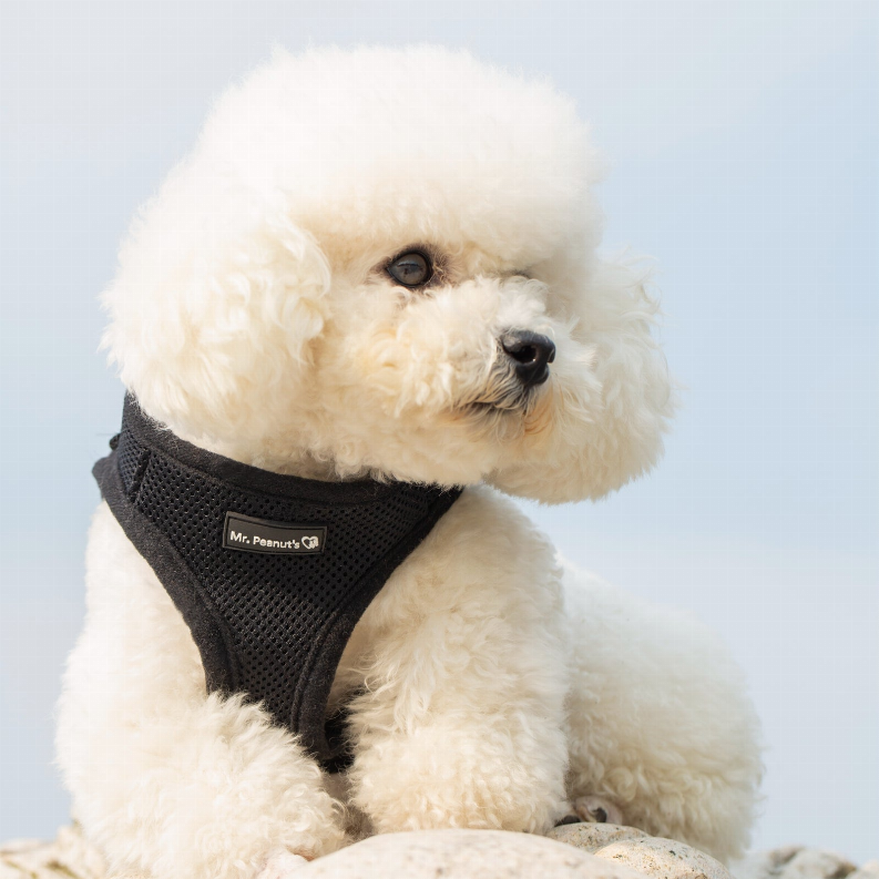 Mr. Peanut's PupTrek Small Dog/Cat Soft Mesh Step In Harness Vest