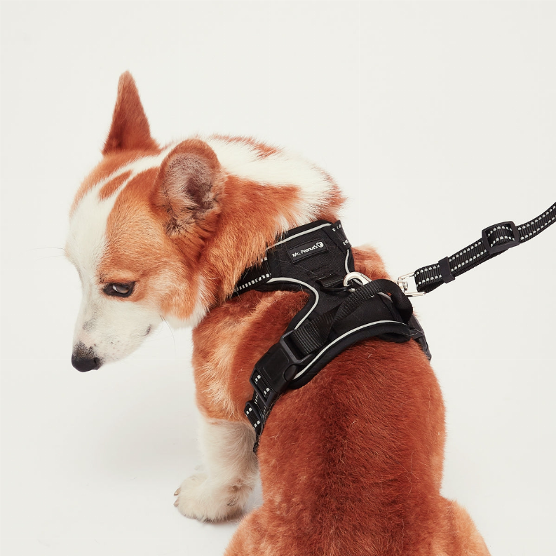 Mr. Peanut's PetTrek Reflective Pet Harness With Matching Leash