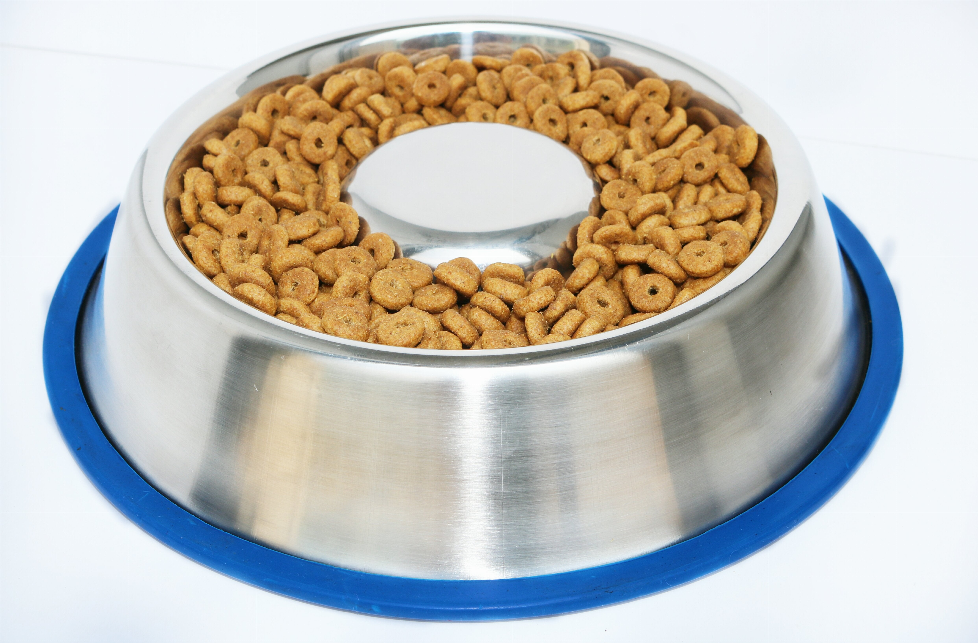Mr. Peanut's Slow Feed Anti Bloat Dog Bowl with Bonded Silicone Base