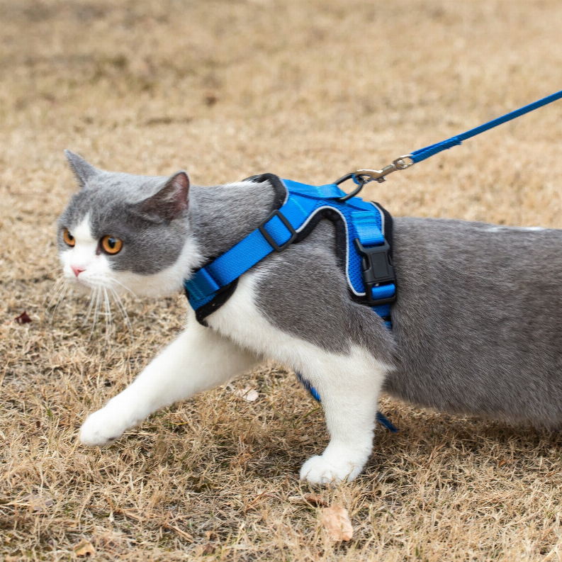 Mr. Peanut's PurrTrek Reflective Cat Harness with Matching Leash