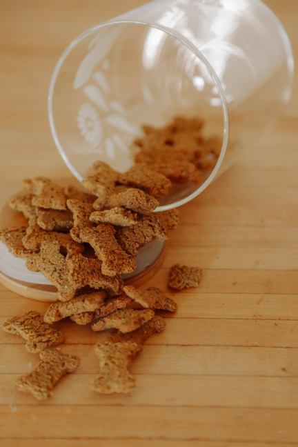 Bulk Treats - Superfood Dog Treat | Jar Refills