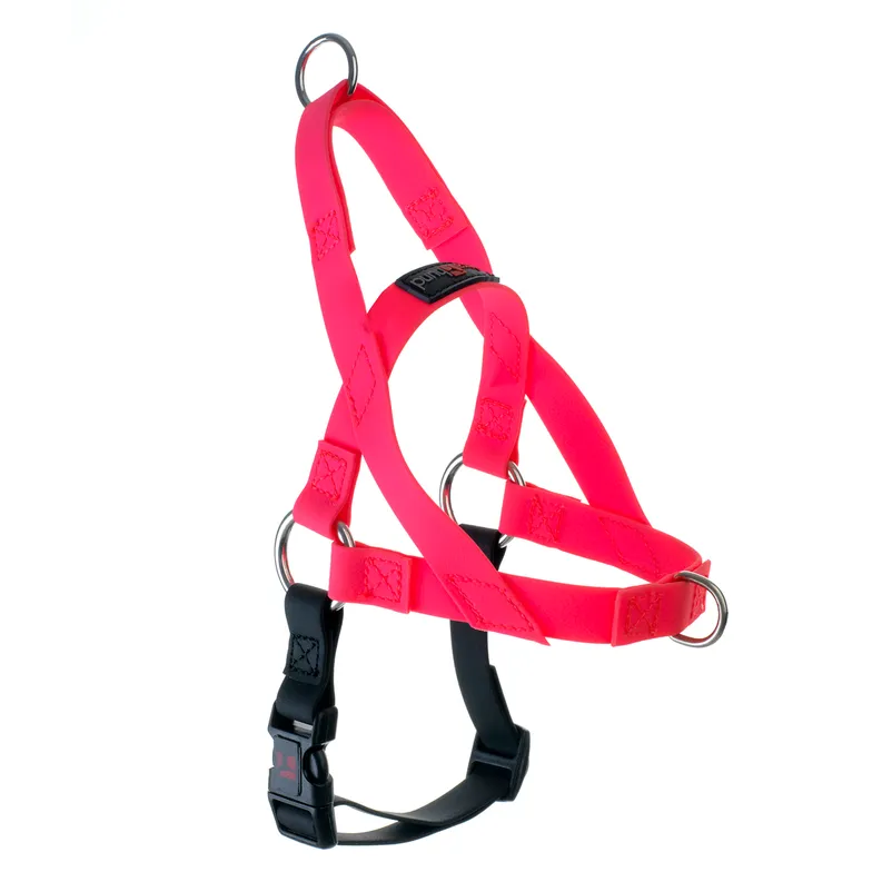 Paws & Ru  Dog Accessories - Harnesses, Collars, Leads & Poo Bags