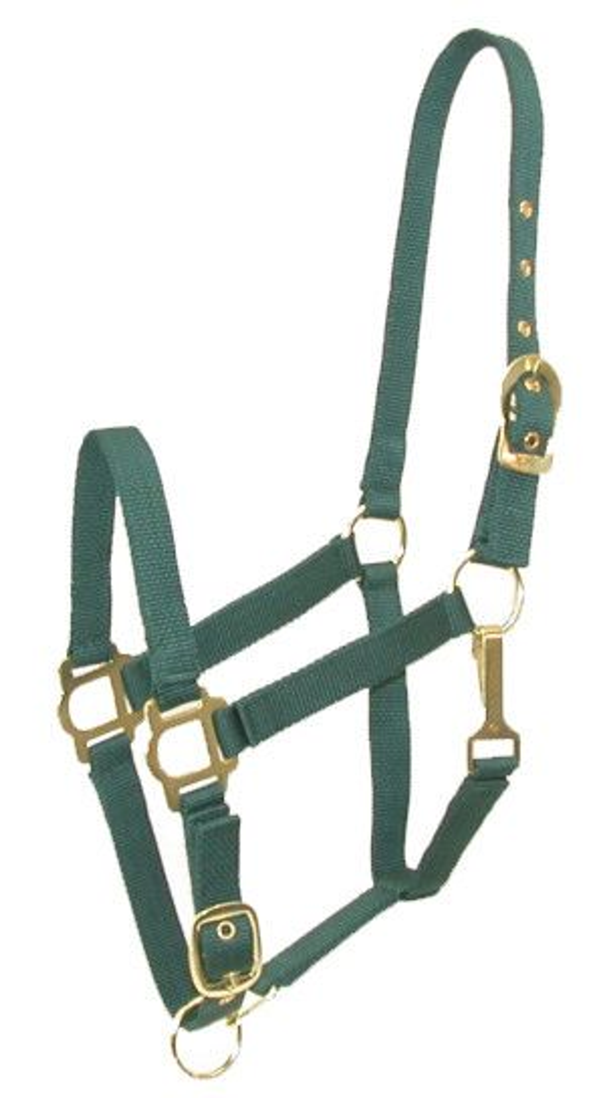 Gatsby Adjustable Nylon Halter With Snap Royal Oversize