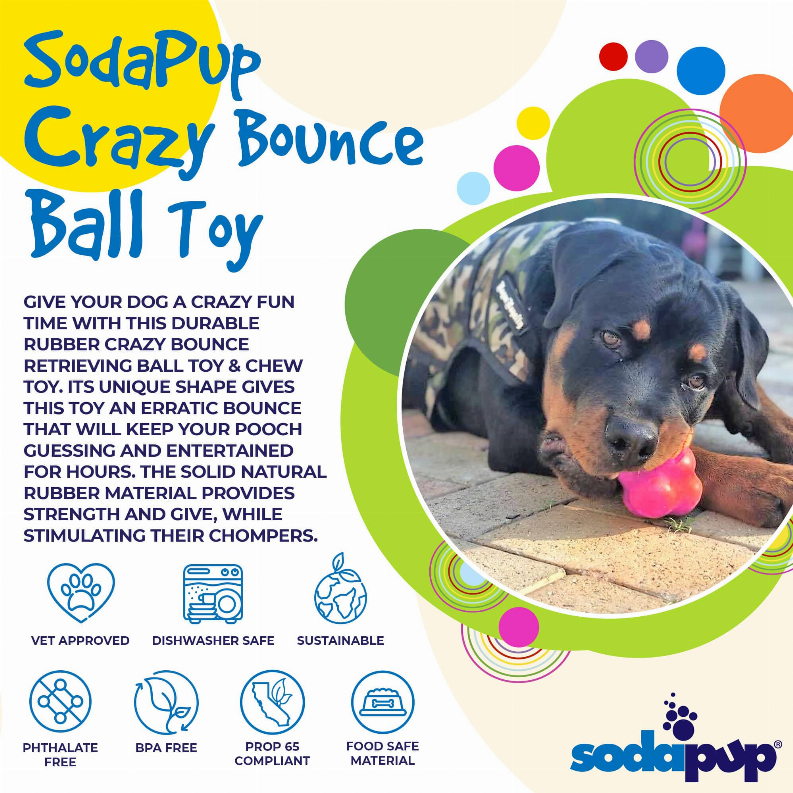 SP Crazy Bounce Ultra Durable Rubber Chew & Retrieving Toy