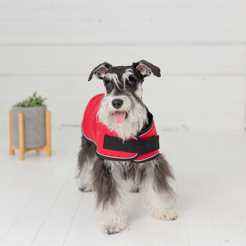 GF Pet Dog Blanket Jacket 4XL Red