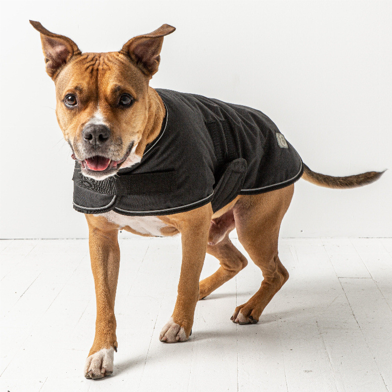 GF Pet Dog Blanket Jacket Large Black