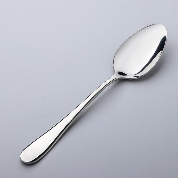 DINNER SPOON 8" | 21 CM SET OF 6  IN COLOUR BOX