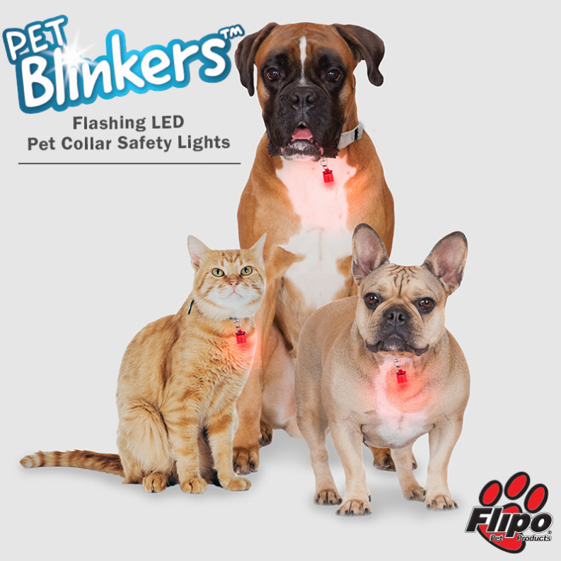Pet Blinkers Flashing LED Pet Safety Light - Large Breed Blue - Blue/White LED
