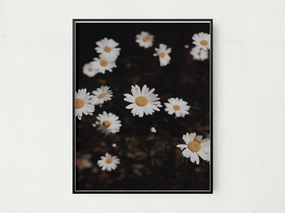 Wild Floral - 11x14