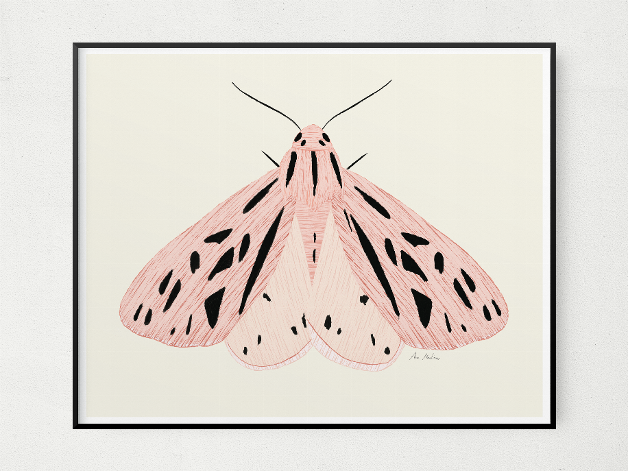 Pink Moth - 5x7